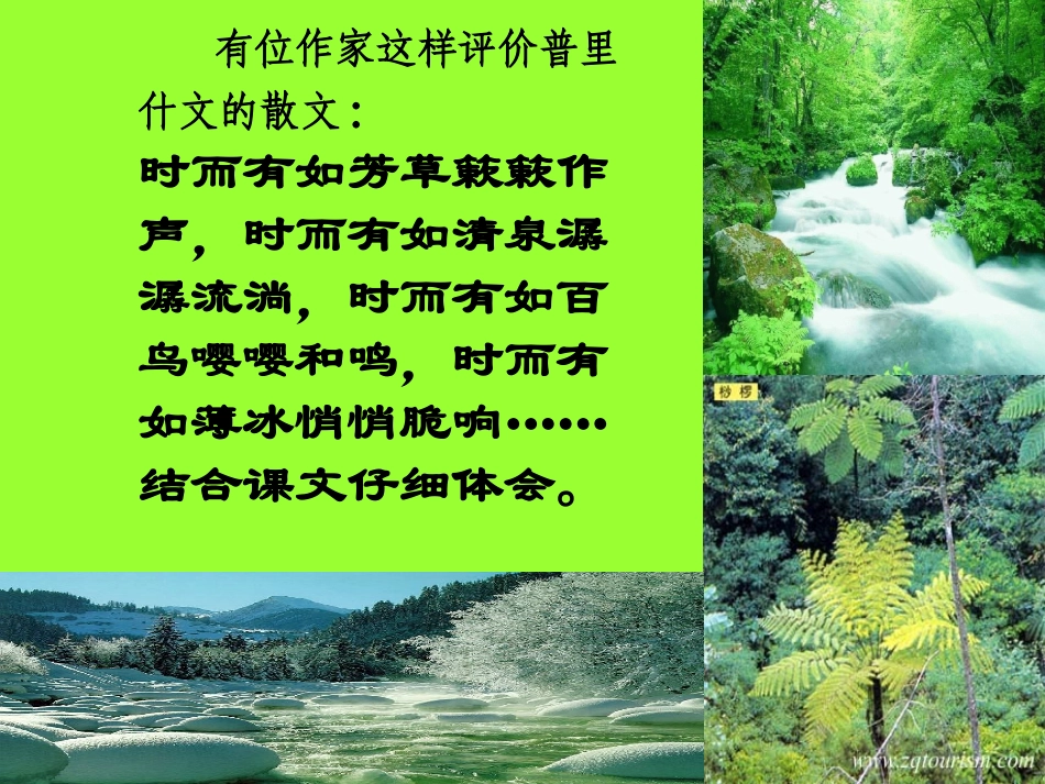 林中小溪 (2)_第3页
