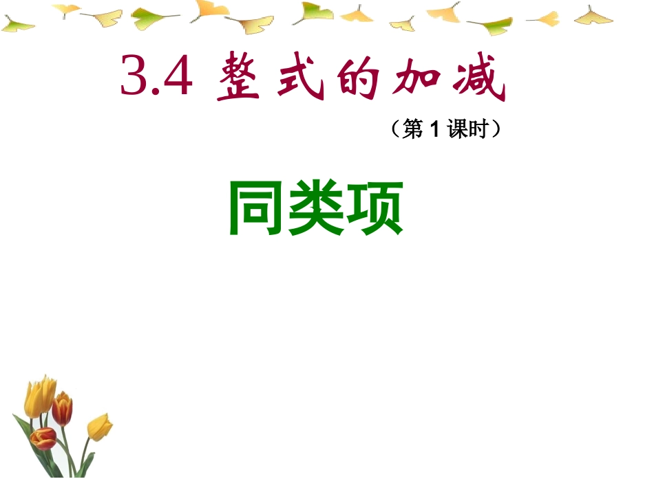 整式的加减第课时同类项_第1页