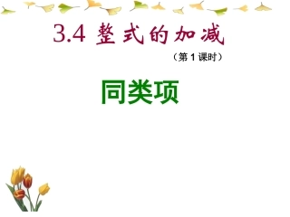 整式的加减第课时同类项