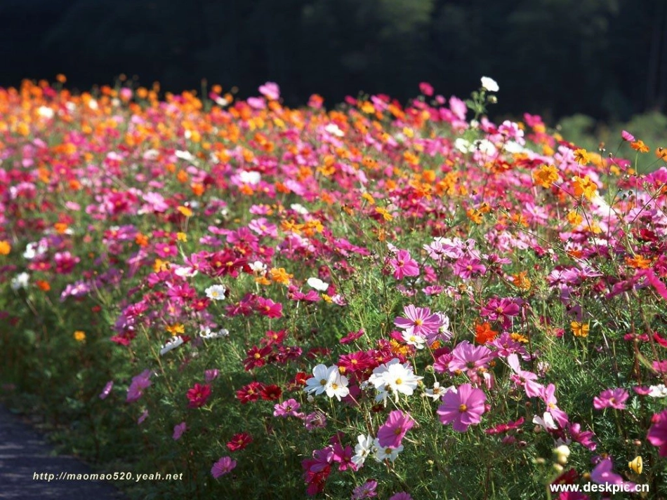 我们的玩具和游戏1_第3页