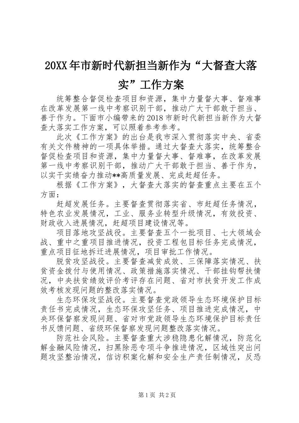 20XX年市新时代新担当新作为“大督查大落实”工作方案_第1页