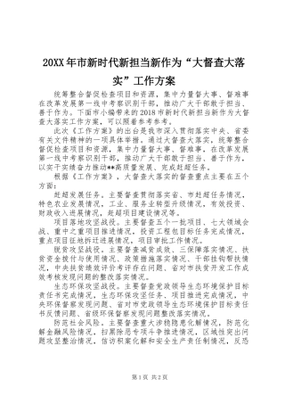 20XX年市新时代新担当新作为“大督查大落实”工作方案