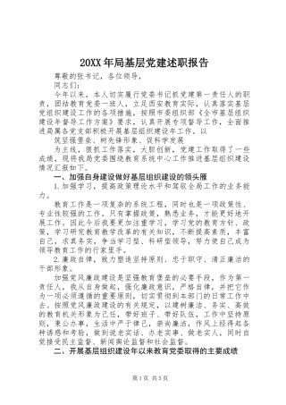 20XX年局基层党建述职报告