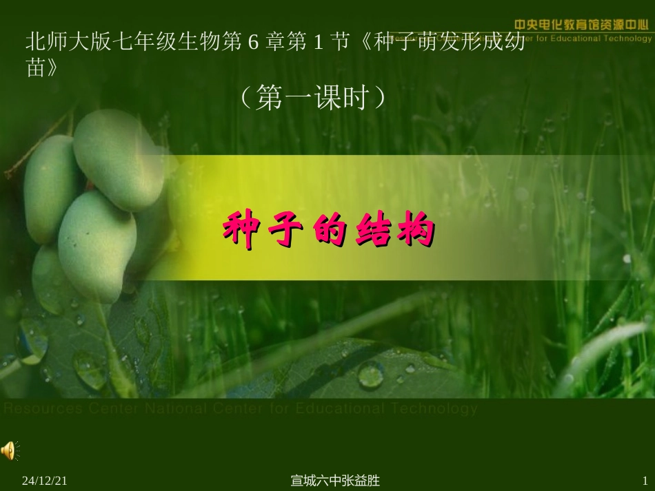 初一生物种子的结构_第1页