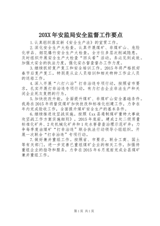 20XX年安监局安全监督工作要点