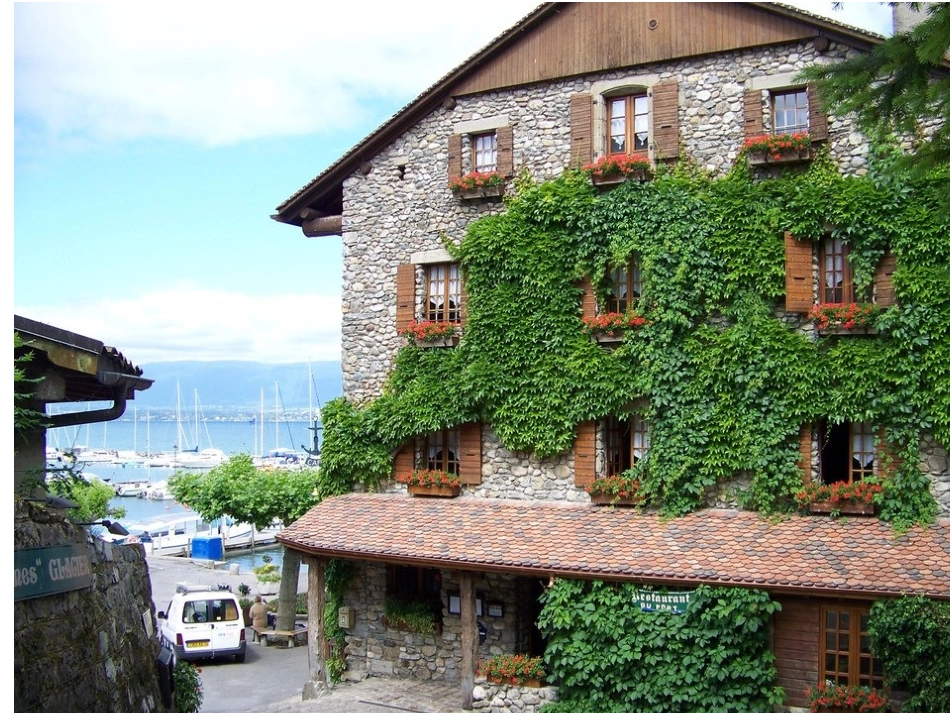 彩色的非洲课件2_第3页