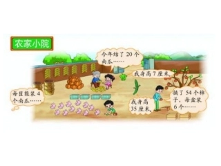 《农家小院》课件