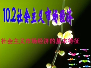 社会主义市场经济