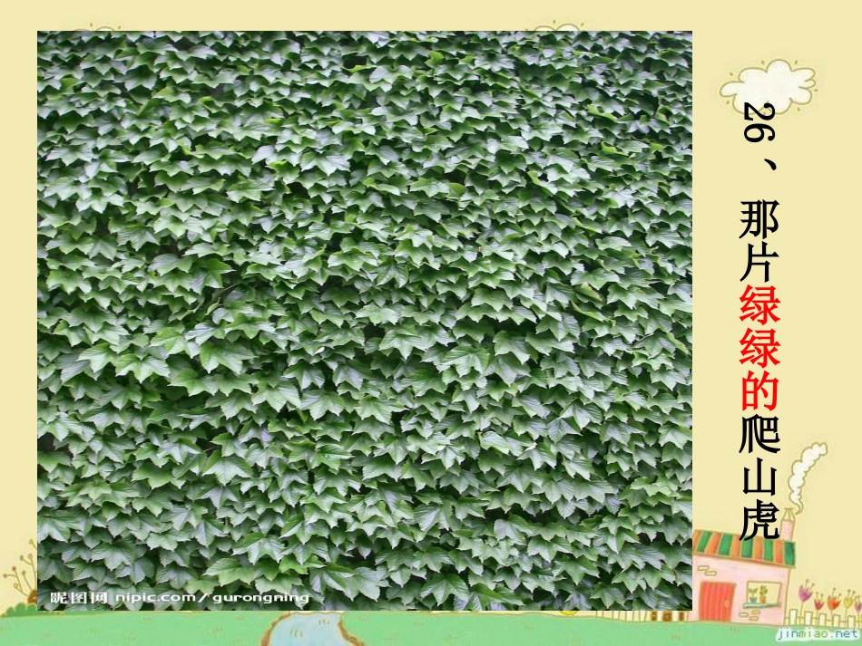 那片绿绿的爬山虎_第1页