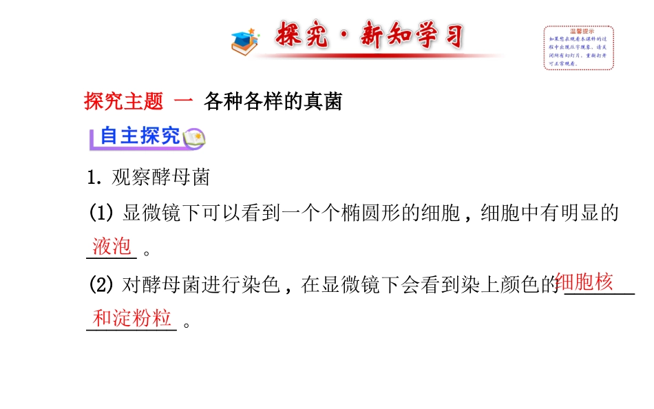 八年级上册课件：第五单元第四章第三节真菌（人教版）_第2页