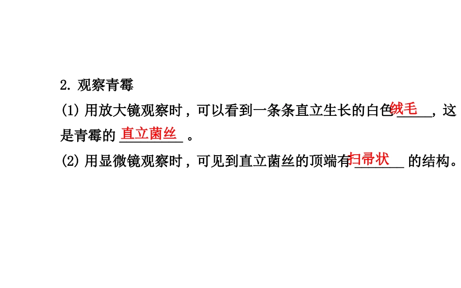 八年级上册课件：第五单元第四章第三节真菌（人教版）_第3页