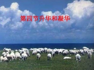 （八年级物理，王转微）