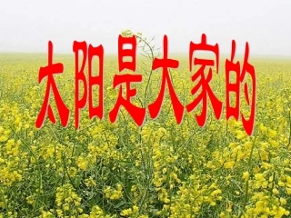太阳是大家的_