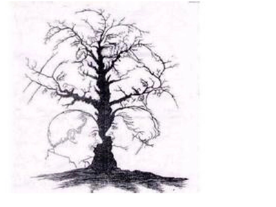 事物的正确答案不止一个_第3页