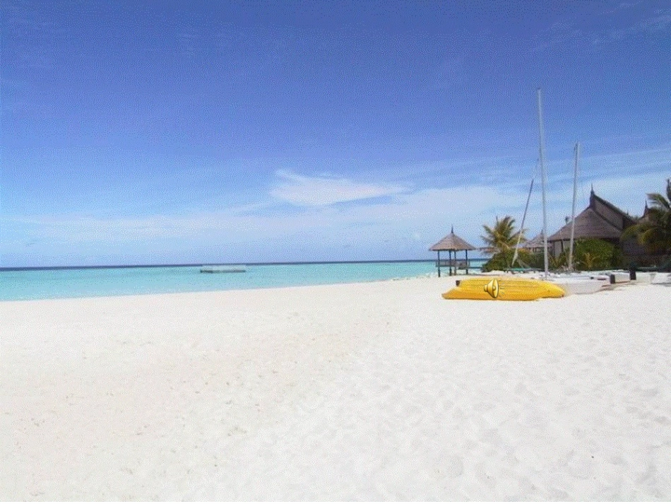 大数的认识整理与复习_第1页