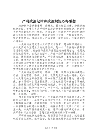严明政治纪律和政治规矩心得感想