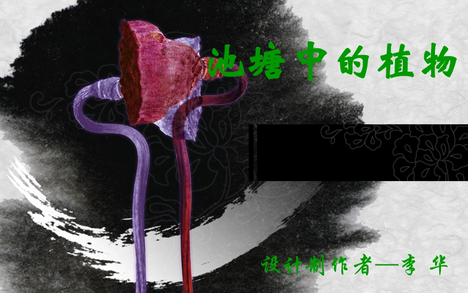 池塘中的植物_第1页