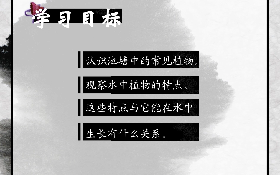 池塘中的植物_第2页