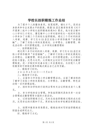 学校长挂职锻炼工作总结