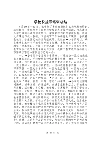 学校长挂职培训总结