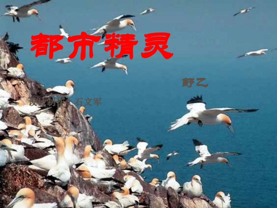 都市精灵流水_第1页