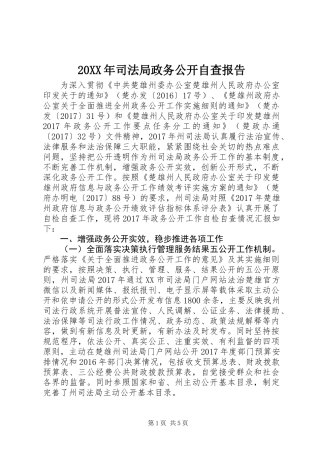 20XX年司法局政务公开自查报告