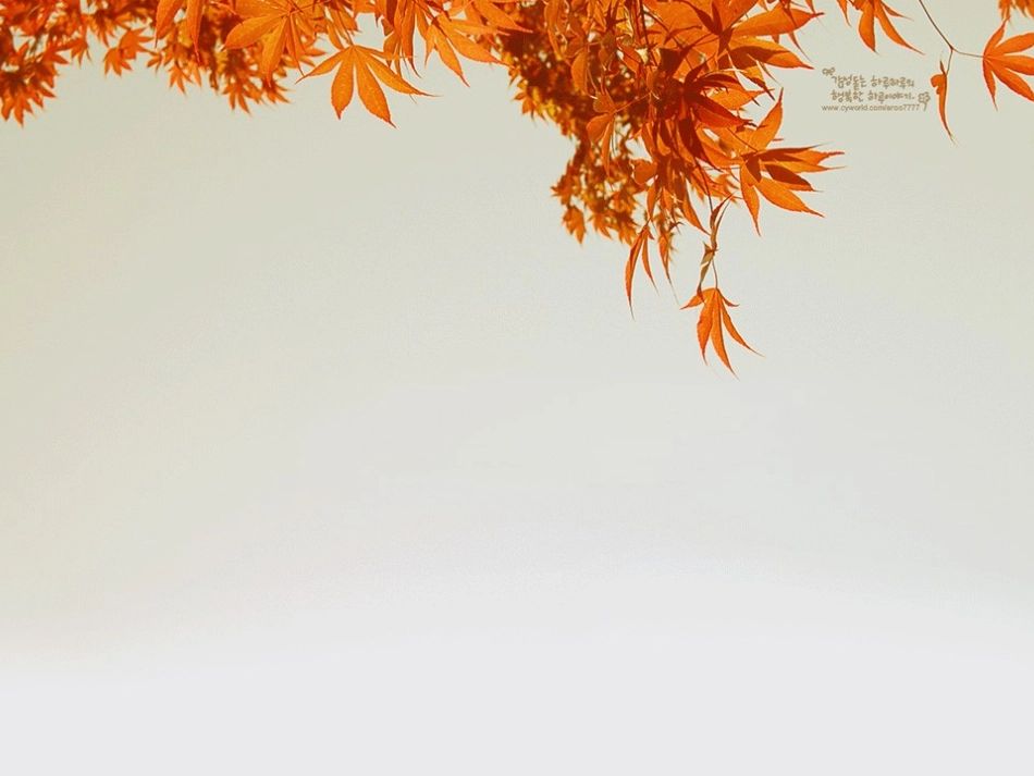 经典清新典雅PPT图景[1]_第2页