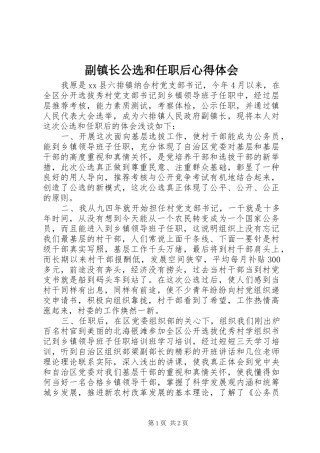 副镇长公选和任职后心得体会