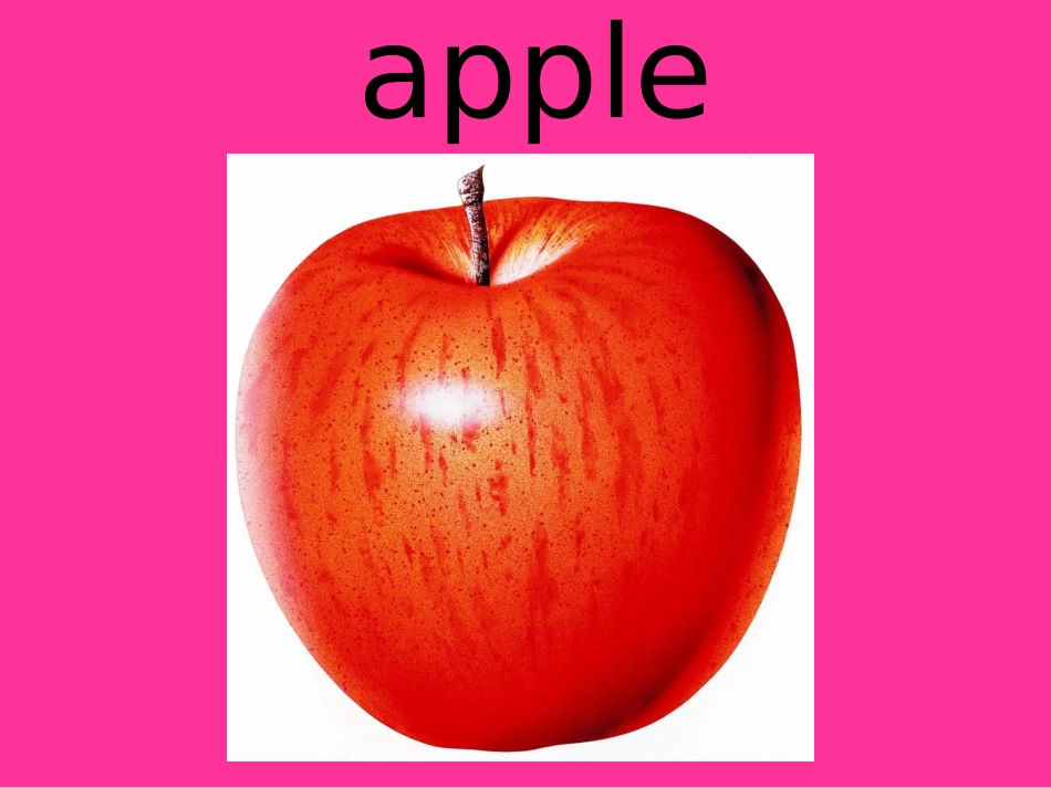 英文字母单词及图片_第3页