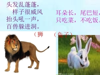 北师大版第四册《狮子和兔子》