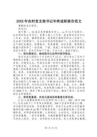 20XX年农村党支部书记年终述职报告范文