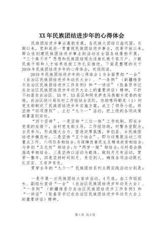 XX年民族团结进步年的心得体会