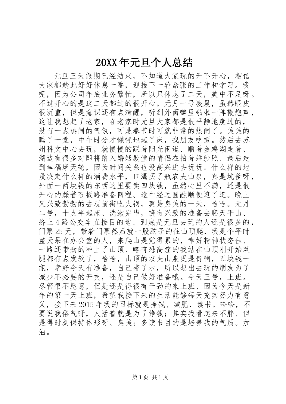 20XX年元旦个人总结_第1页