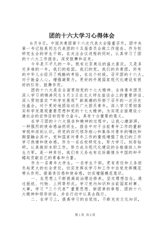 团的十六大学习心得体会