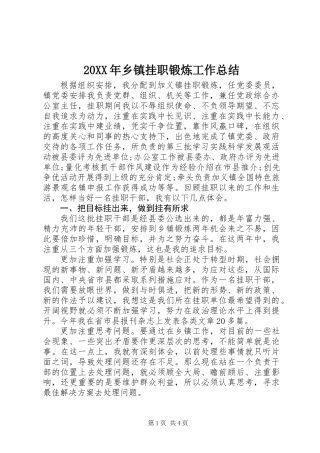 20XX年乡镇挂职锻炼工作总结