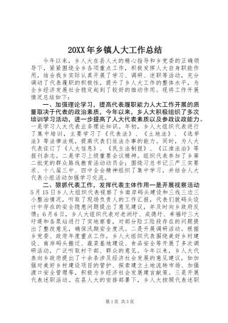 20XX年乡镇人大工作总结