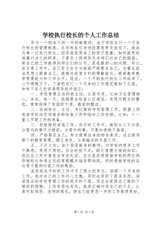 学校执行校长的个人工作总结