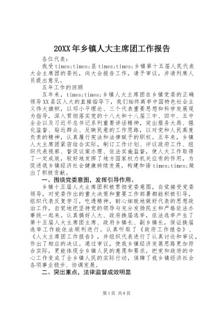 20XX年乡镇人大主席团工作报告