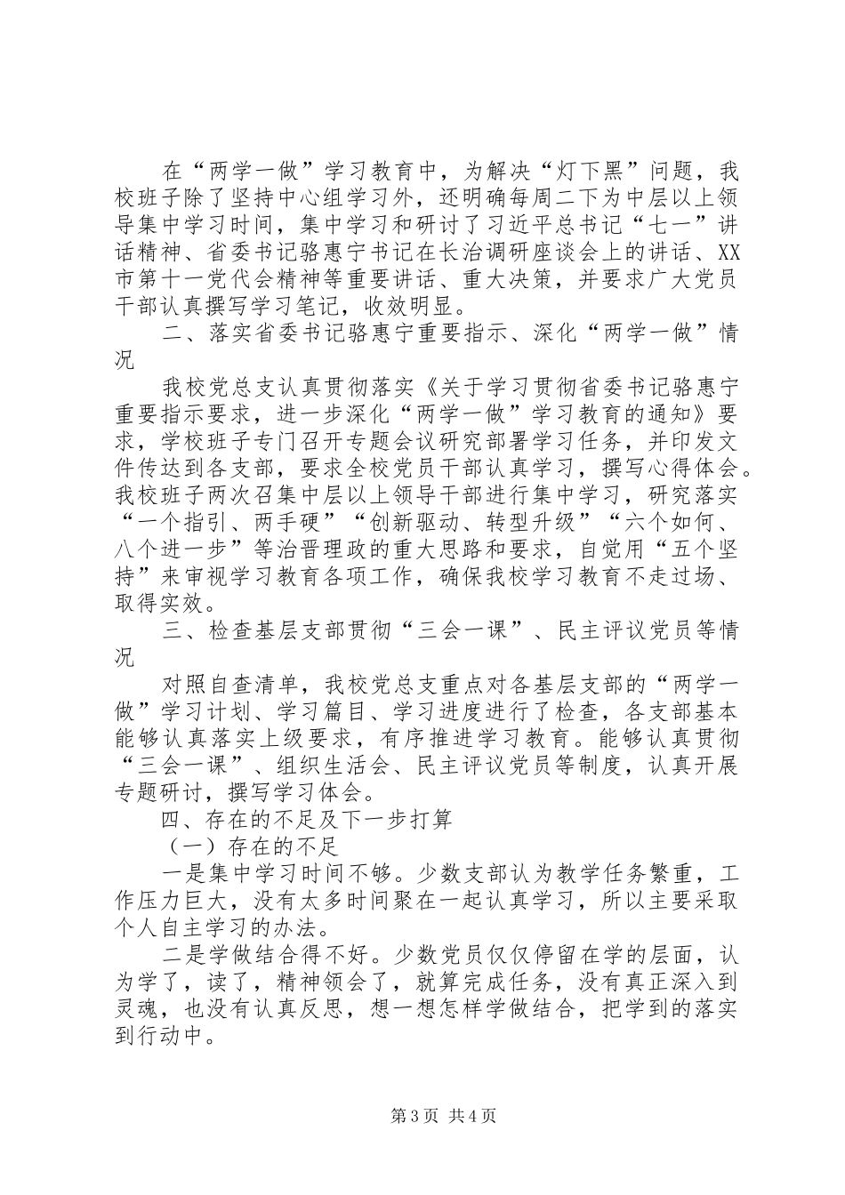 学校总支委员会党建工作总结_第3页