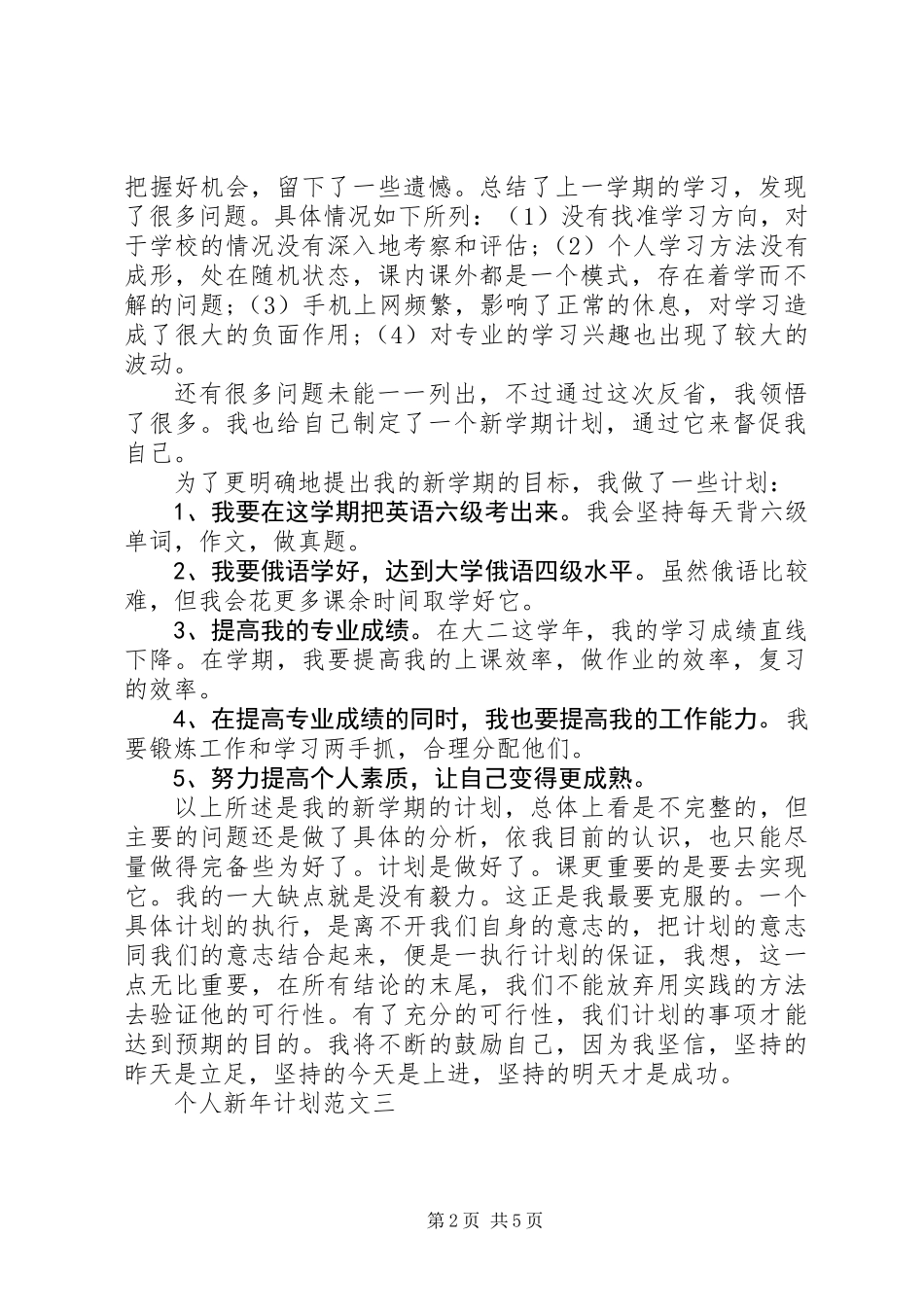 20XX年个人新年计划_第2页