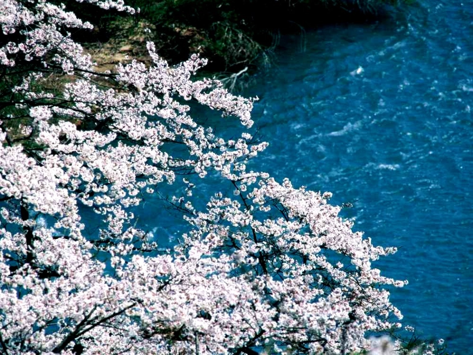 八上第二十一课桃花源记_第2页