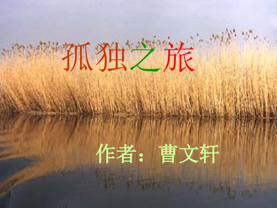 孤独之旅 (2)_第1页