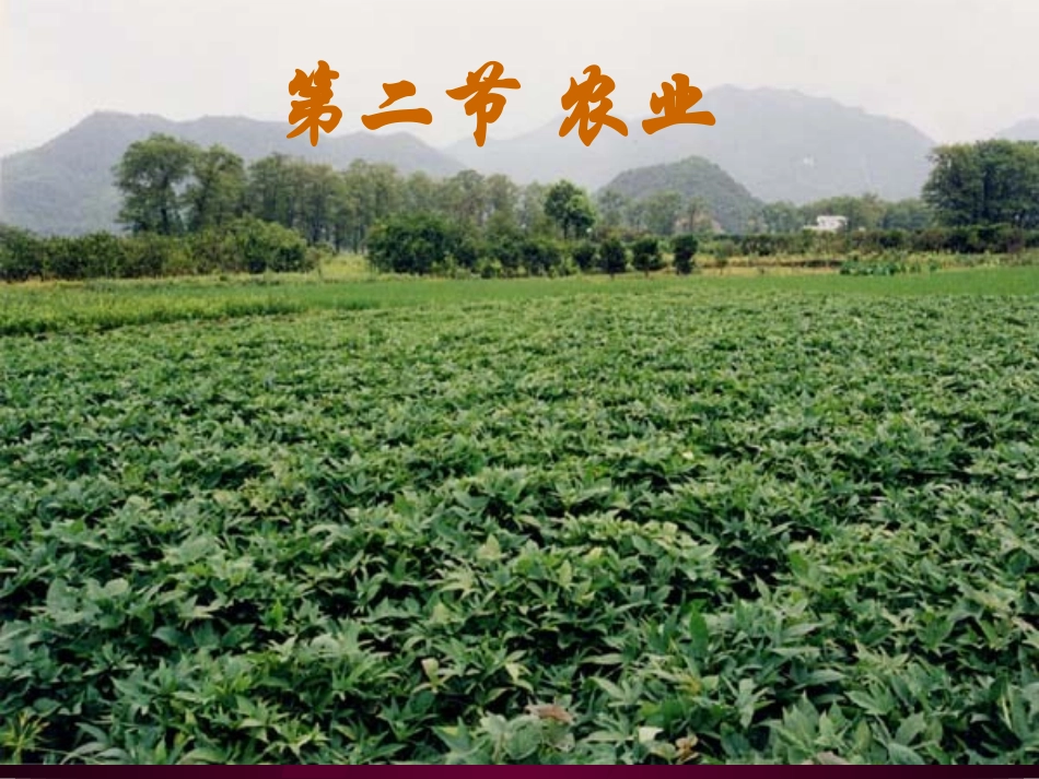 第四章第二节农业_第1页