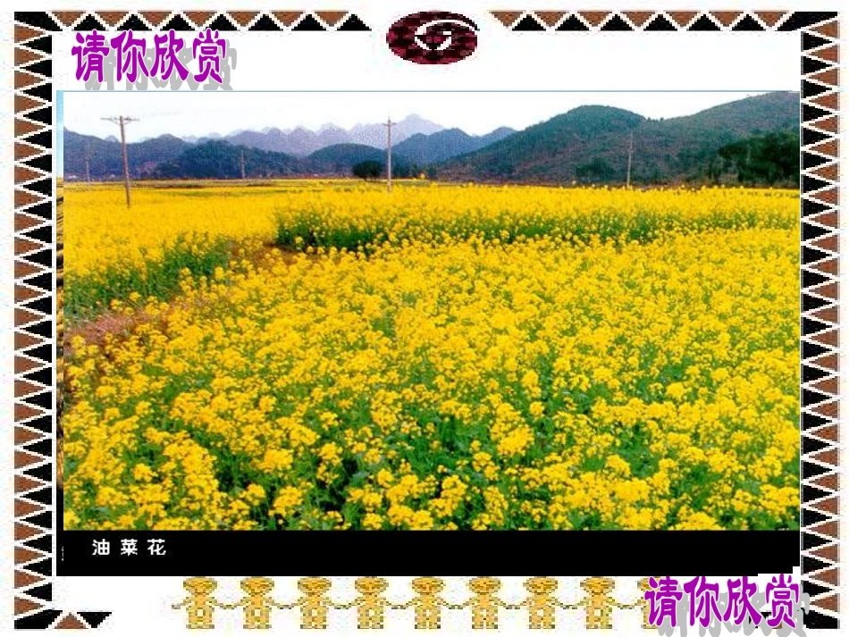 第四章第二节农业_第2页