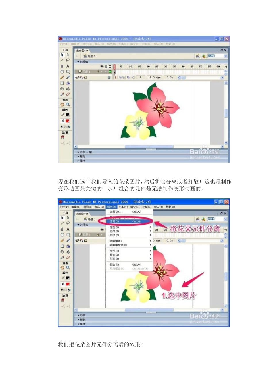 花朵变为文字_第3页