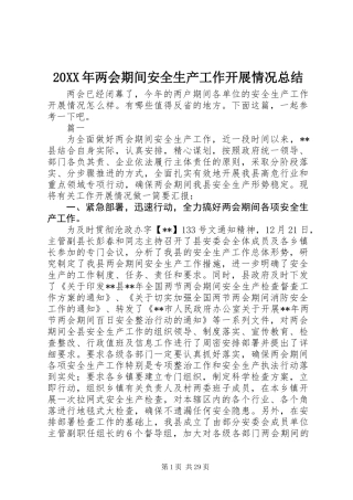 20XX年两会期间安全生产工作开展情况总结