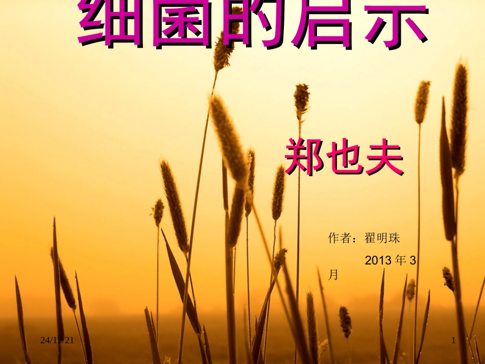 细菌的启示课件_第1页