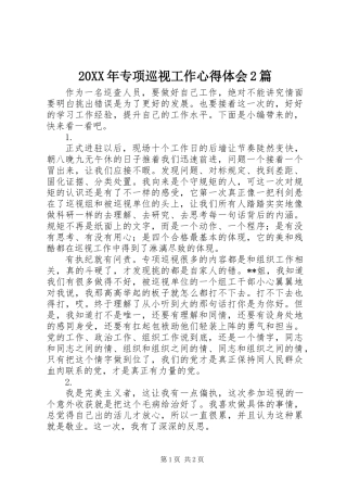 20XX年专项巡视工作心得体会2篇