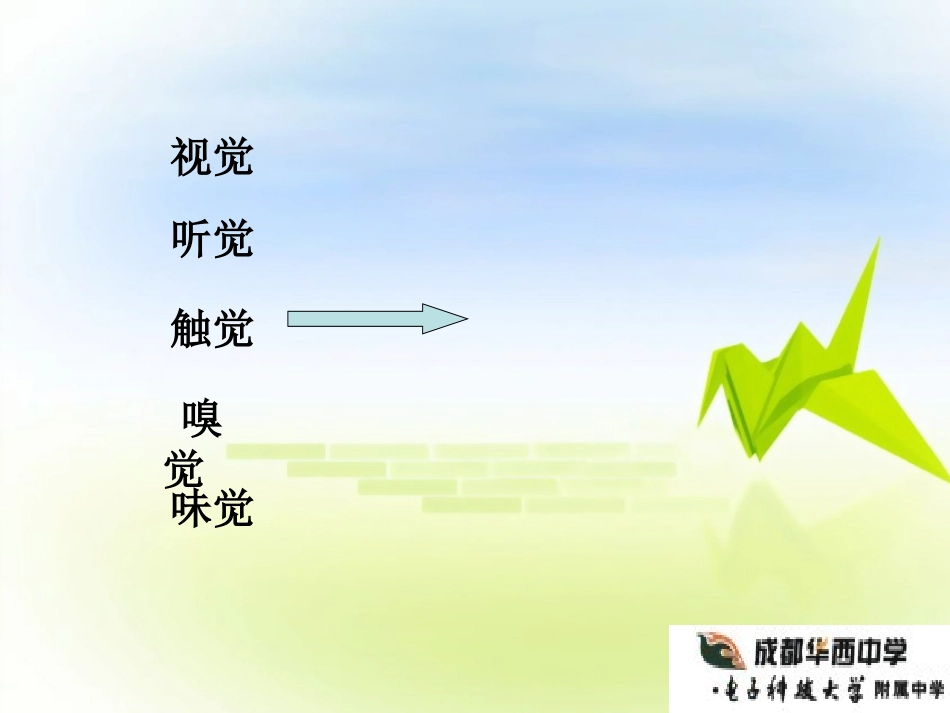 《纸随心飞》课件_第3页