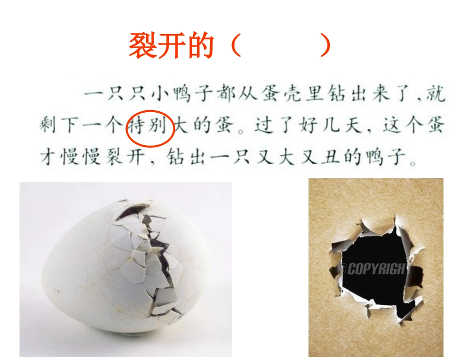 小学二年级下册《丑小鸭》课件_2_第3页